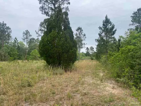 0 Walther Rd, Milton, FL 32570 photo 12