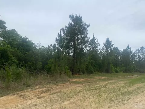 0 Walther Rd, Milton, FL 32570 photo 8