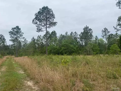 0 Walther Rd, Milton, FL 32570 photo 11