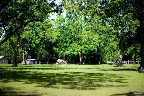Other - 2001 Chavers Rd, Cantonment, FL 32533 photo 8 of 15