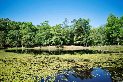 View/Area - 2001 Chavers Rd, Cantonment, FL 32533 photo 5 of 7
