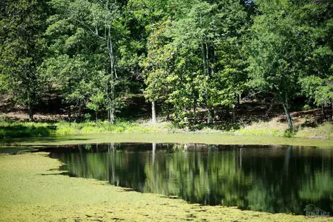 View/Area - 2001 Chavers Rd, Cantonment, FL 32533 photo 6 of 7
