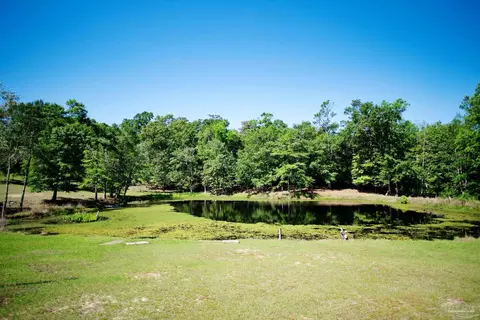 View/Area - 2001 Chavers Rd, Cantonment, FL 32533 photo 3 of 7