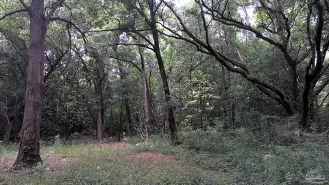 1310 E Burgess Rd, Pensacola, FL 32504