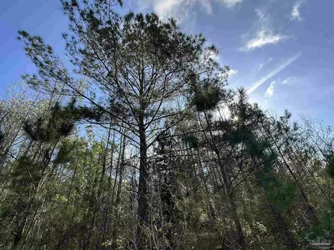 lot E Snider Rd, Frisco City, AL 36445