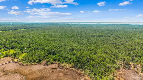 0000 Pearson Rd, Milton, FL 32583 photo 19