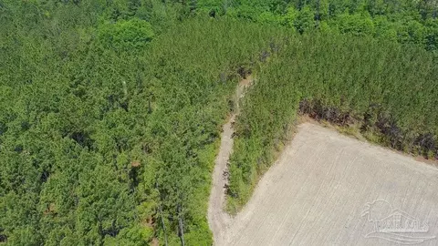 11 42 Acres Edge Forest Way, Pace, FL 32571 photo 25