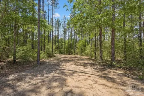 11 42 Acres Edge Forest Way, Pace, FL 32571