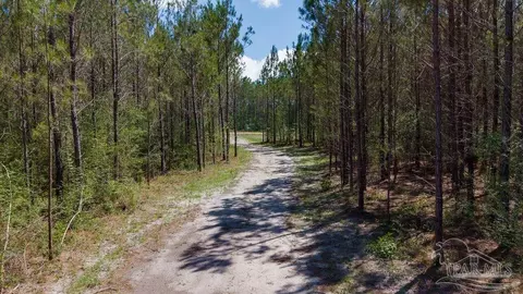 11 42 Acres Edge Forest Way, Pace, FL 32571 photo 29