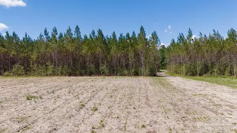 11 42 Acres Edge Forest Way, Pace, FL 32571 photo 37