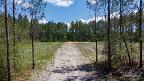 11 42 Acres Edge Forest Way, Pace, FL 32571 photo 38