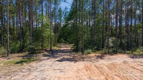 11 42 Acres Edge Forest Way, Pace, FL 32571 photo 35
