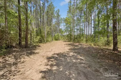 11 42 Acres Edge Forest Way, Pace, FL 32571 photo 11