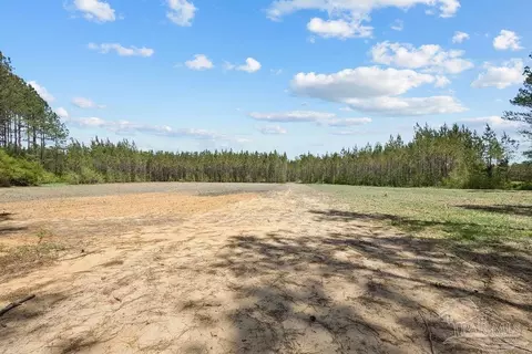 11 42 Acres Edge Forest Way, Pace, FL 32571 photo 15