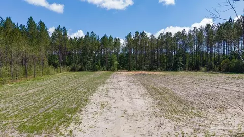 11 42 Acres Edge Forest Way, Pace, FL 32571 photo 36