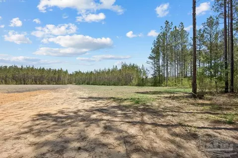 11 42 Acres Edge Forest Way, Pace, FL 32571 photo 8