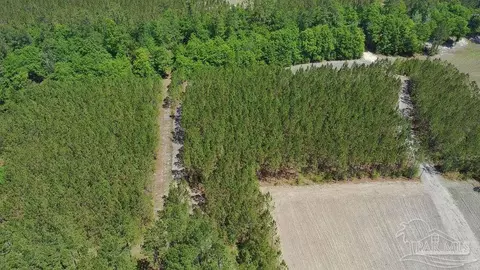 11 42 Acres Edge Forest Way, Pace, FL 32571 photo 16