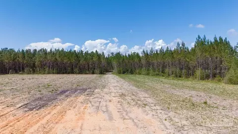 11 42 Acres Edge Forest Way, Pace, FL 32571 photo 34