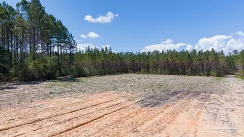 11 42 Acres Edge Forest Way, Pace, FL 32571 photo 30