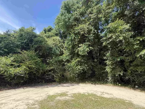 0 Rodella St, Pace, FL 32571 photo 10