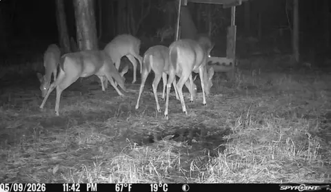 Other - 6749 Oser Rd, Milton, FL 32570 photo 18 of 20