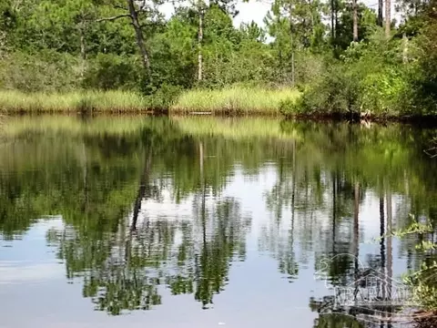 0 Ruth Ct, Milton, FL 32583 photo 2