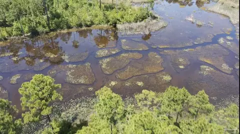 lot57 Tidal Bay Dr, Milton, FL 32583