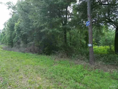 lot5 N Aubrey Ln, Pace, FL 32571 photo 19