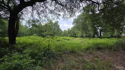 lot5 N Aubrey Ln, Pace, FL 32571 photo 12