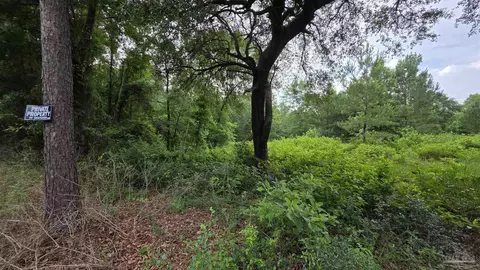 lot5 N Aubrey Ln, Pace, FL 32571 photo 17
