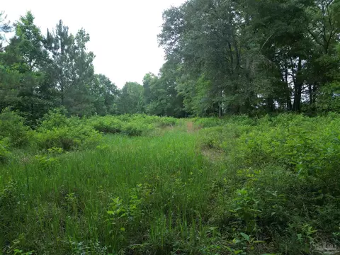 lot5 N Aubrey Ln, Pace, FL 32571 photo 15