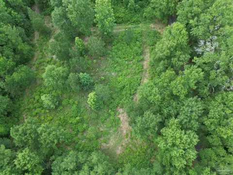 lot5 N Aubrey Ln, Pace, FL 32571 photo 2