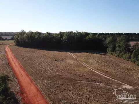5 Acres Ard Field Rd, Jay, FL 32565 photo 4