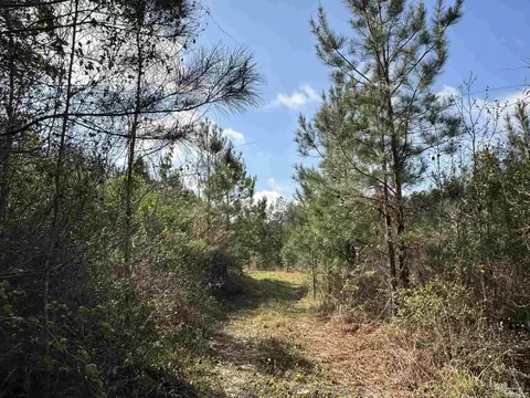 15 Ac Snider Rd, Frisco City, AL 36445