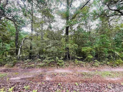 1234 Hutto Parker Rd, Milton, FL 32564