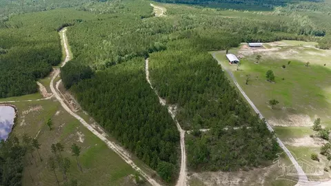 30 Acres Treetop Ridge Dr, Pace, FL 32571 photo 10