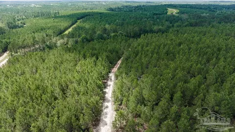 30 Acres Treetop Ridge Dr, Pace, FL 32571 photo 8