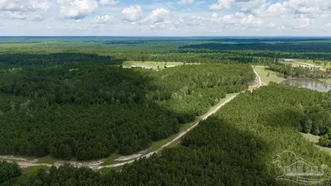 30 Acres Treetop Ridge Dr, Pace, FL 32571 photo 12