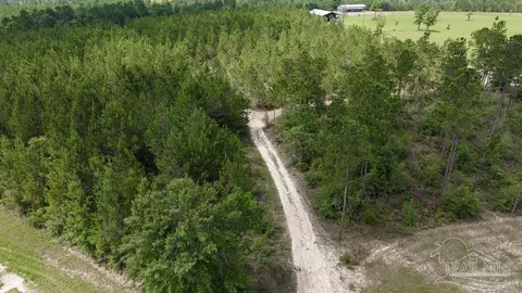 30 Acres Treetop Ridge Dr, Pace, FL 32571 photo 4