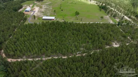 30 Acres Treetop Ridge Dr, Pace, FL 32571 photo 5