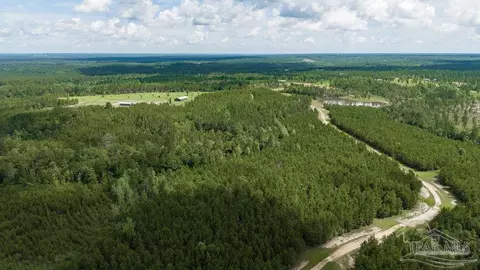 30 Acres Treetop Ridge Dr, Pace, FL 32571 photo 7