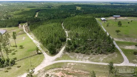 30 Acres Treetop Ridge Dr, Pace, FL 32571 photo 6