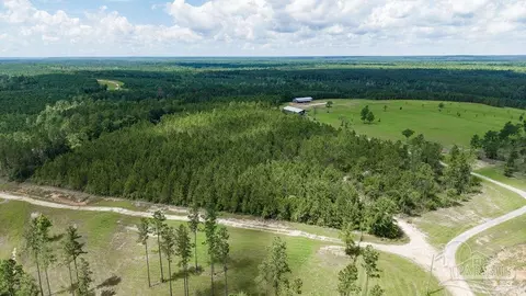 30 Acres Treetop Ridge Dr, Pace, FL 32571