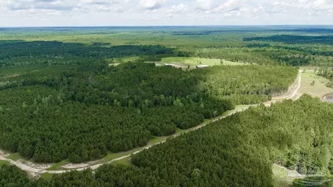 30 Acres Treetop Ridge Dr, Pace, FL 32571 photo 11