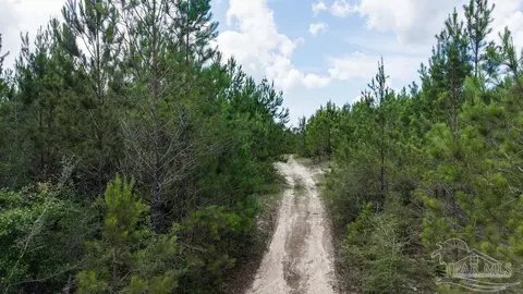 30 Acres Treetop Ridge Dr, Pace, FL 32571 photo 17