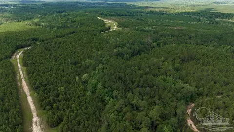 30 Acres Treetop Ridge Dr, Pace, FL 32571 photo 15
