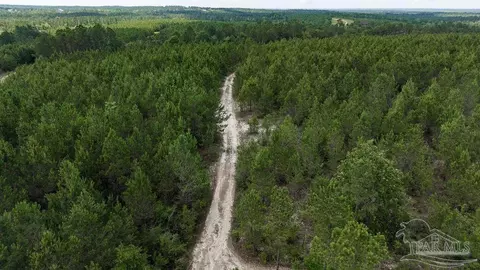 30 Acres Treetop Ridge Dr, Pace, FL 32571 photo 3