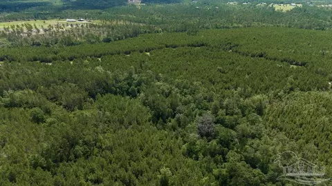30 Acres Treetop Ridge Dr, Pace, FL 32571 photo 9