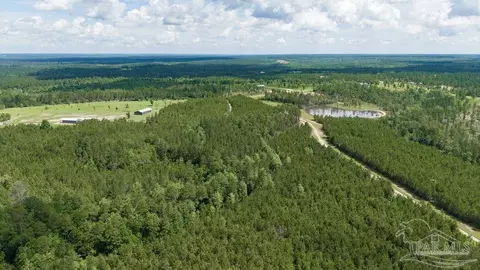 30 Acres Treetop Ridge Dr, Pace, FL 32571 photo 14