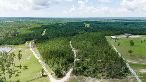 30 Acres Treetop Ridge Dr, Pace, FL 32571 photo 2